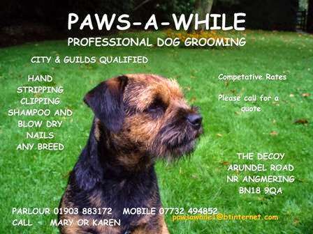 Dog Grooming, Paws a While photo